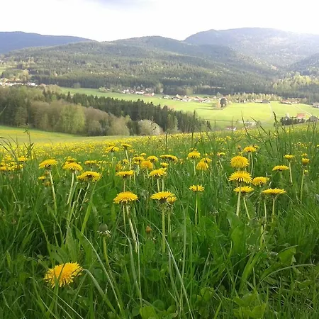 Kriegerhof Arrach